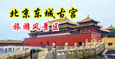 几把焯死你白虎黑丝啊啊啊来疼中国北京-东城古宫旅游风景区